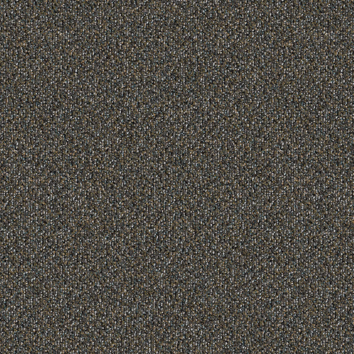 Mohawk - Faculty Renewal - 24 in. x 24 in. - Commercial Carpet Tile - Denali