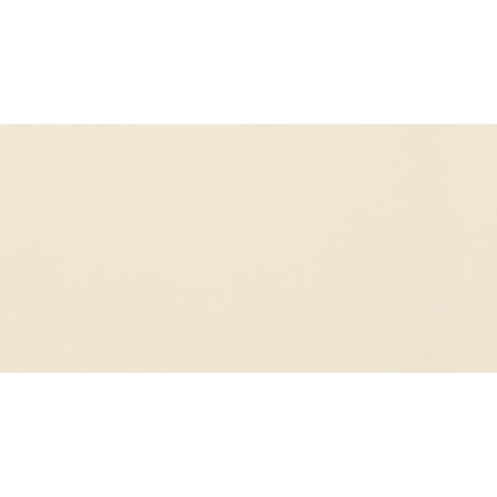 American Olean - Clay Canvas - 12 in. x 24 in. - Porcelain Tile - Matte - Paint
