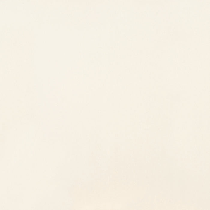 American Olean - Clay Canvas - 24 in. x 24 in. - Porcelain Tile - Polished - Chalk