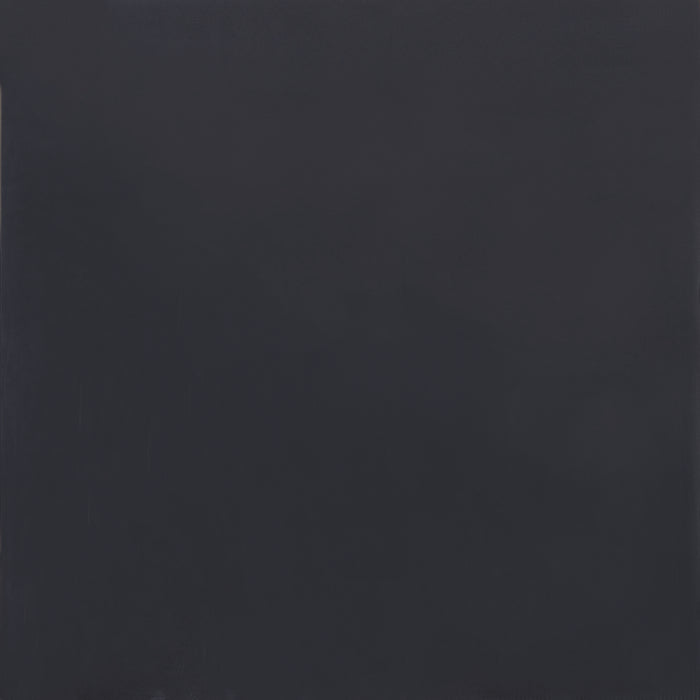 American Olean - Clay Canvas - 24 in. x 24 in. - Porcelain Tile - Polished - Coal