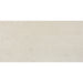 American Olean - Theoretical Evolved - 12 in. x 24 in. - Porcelain Tile - Matte - Candid Cream