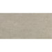 American Olean - Theoretical Evolved - 12 in. x 24 in. - Porcelain Tile - Matte - Reflective Taupe
