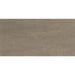 American Olean - Theoretical Evolved - 12 in. x 24 in. - Porcelain Tile - Matte - Hibernate Brown