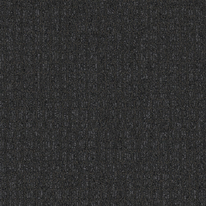EF Contract - Batiste Moderne - 18 in. x 36 in. - Commercial Carpet Tile - Noir