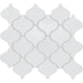 019033ARABMS1P2