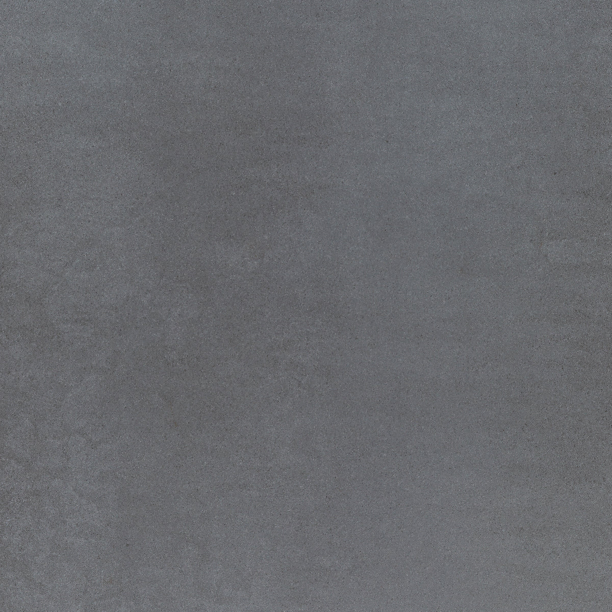 Daltile - Cohesion - 24 in. x 24 in. - Porcelain Tile - Matte - Dark Grey