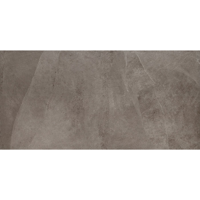 Daltile - Delegate - 12 in. x 24 in. - Porcelain Tile - Matte - Light Grey