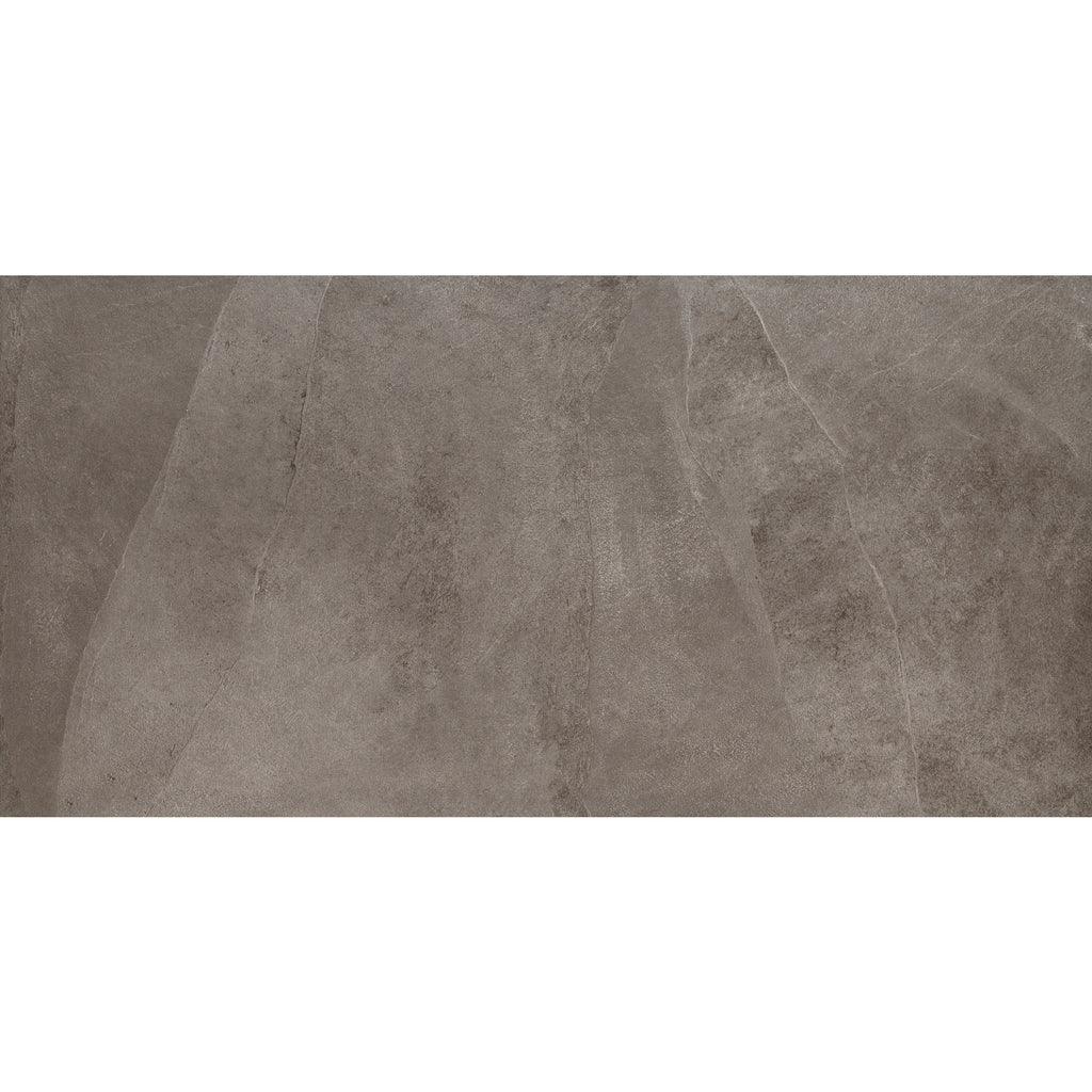 Daltile - Delegate - 20 in. x 40 in. - Porcelain Paver Tile