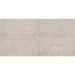Daltile - Enlite - 15 in. x 30 in. - Colorbody Porcelain Tile - Matte - Awaken Color Variations