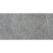 Daltile - Enlite - 15 in. x 30 in. - Colorbody Porcelain Tile - Matte - Transcend
