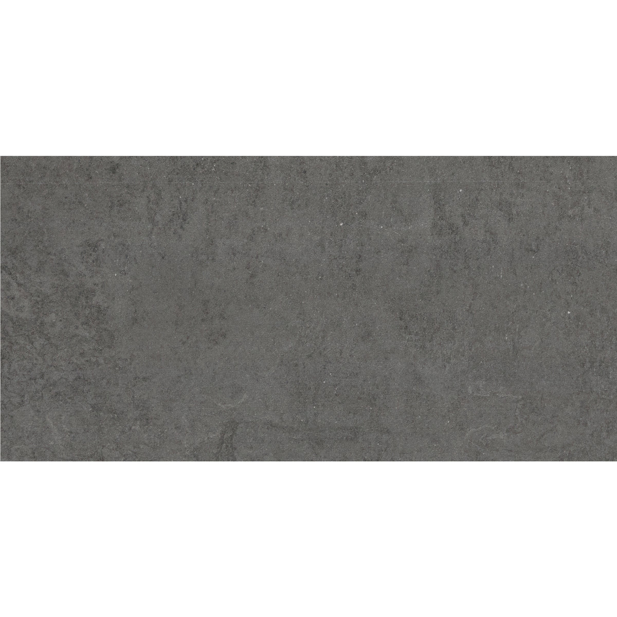 Daltile - Emergent - 24 in. x 48 in. - Porcelain Floor Tile - Light Polished - Titanium