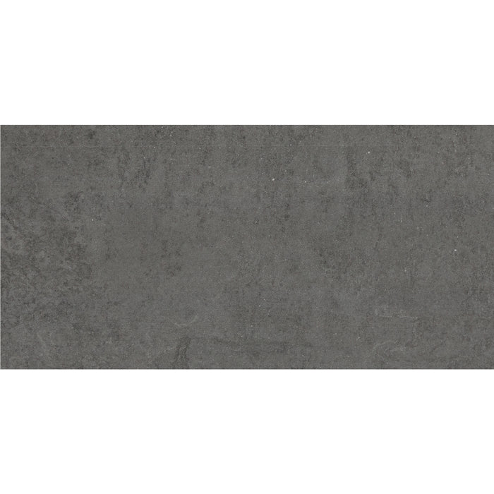 Daltile - Emergent - 12 in. x 24 in. - Porcelain Floor Tile - Light Polished - Titanium