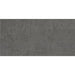 Daltile - Emergent - 12 in. x 24 in. - Porcelain Floor Tile - Light Polished - Titanium