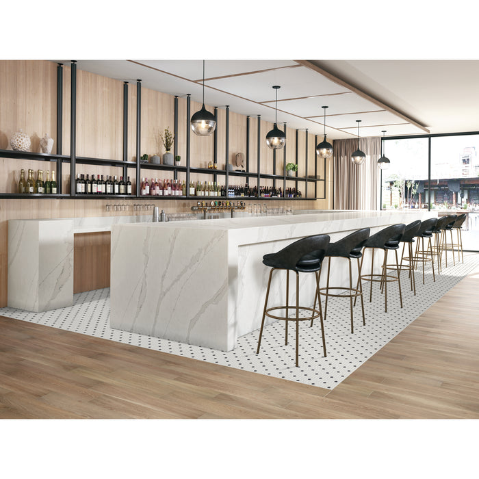 Daltile - Keystones - Penny Rounds - Porcelain Tile Mosaic - Matte - Arctic White/Black - DK30 Installed