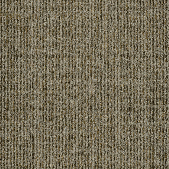EF Contract - Elan II - 18 in. x 36 in. - Commercial Carpet Tile - Ecru ELN79