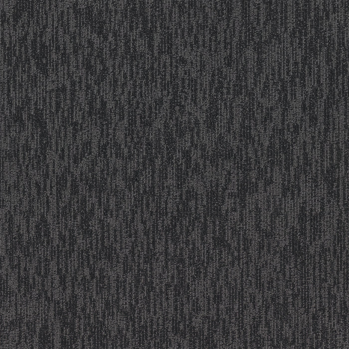 EF Contract - Polaris II - 24 in. x 24 in. - Commercial Carpet Tile - North Star PL259