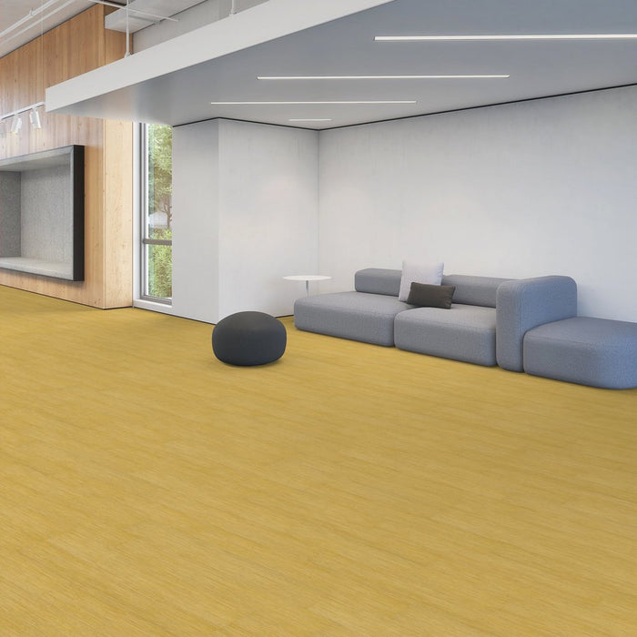 Patcraft - Crossover Click - 7 in. x 48 in. Luxury Vinyl - Sunlit floor installation