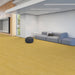 Patcraft - Crossover Click - 7 in. x 48 in. Luxury Vinyl - Sunlit floor installation