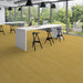 Patcraft - Crossover Click - 7 in. x 48 in. Luxury Vinyl - Sunlit floor installation