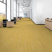 Patcraft - Crossover Click - 7 in. x 48 in. Luxury Vinyl - Sunlit floor installation
