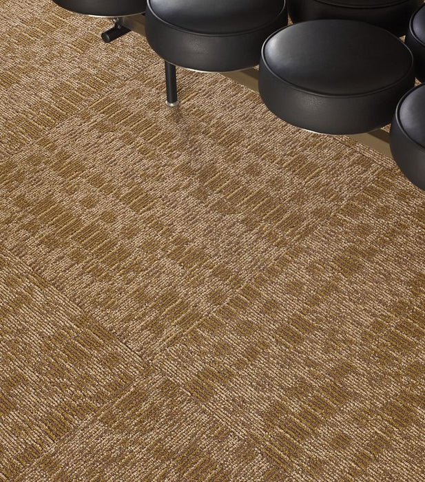 Philadelphia Commercial - Relativity - Chain Reaction - Carpet Tile - Echo
