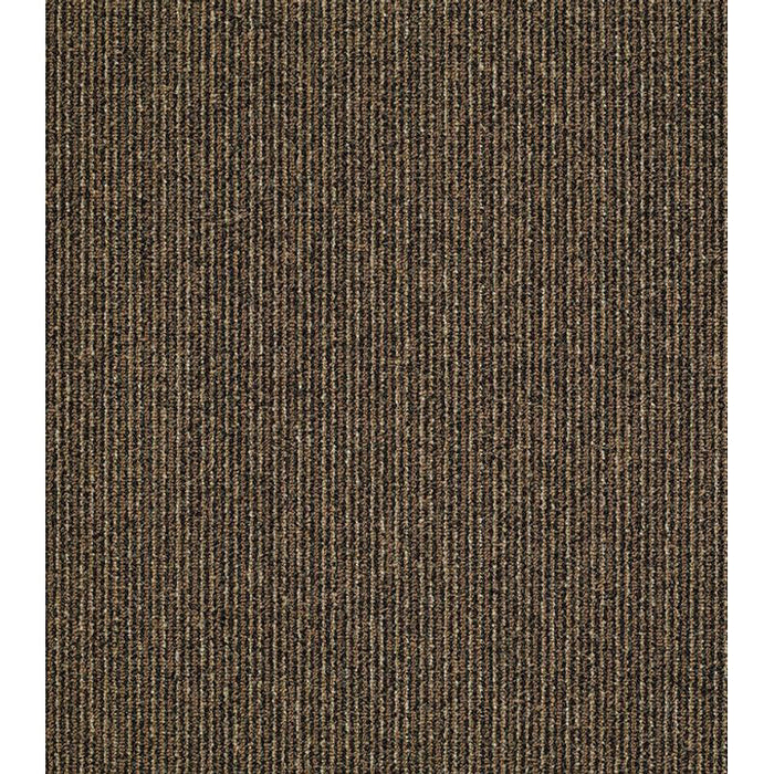 Philadelphia Commercial - Step On It - Carpet Tile - Early Bird