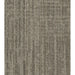 Philadelphia Commercial - Beyond Basic - Raw Beauty - Carpet Tile - Savvy
