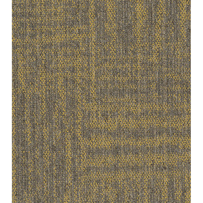 Philadelphia Commercial - Beyond Basic - Raw Beauty - Carpet Tile - Radiant