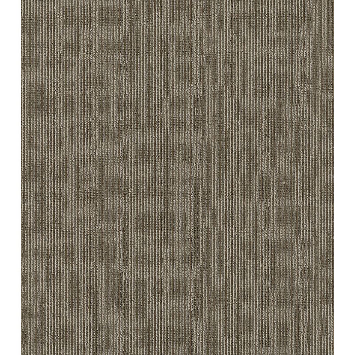Philadelphia Commercial - Design Smart - Genius - Carpet Tile - Scholarly