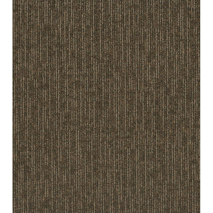 Philadelphia Commercial - Walk This Way - Step Right In - Carpet Tile - Stride
