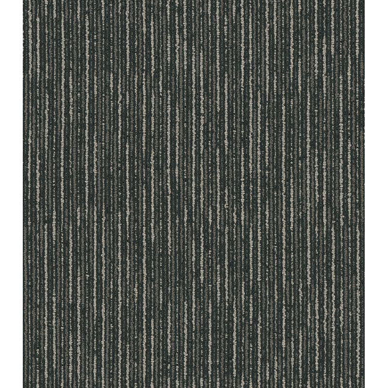 Philadelphia Commercial - The Shape Of Color - Line By Line - Carpet Tile - Emotion