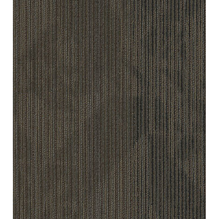 Philadelphia Commercial - In The Press - Declare - Carpet Tile - Coverage