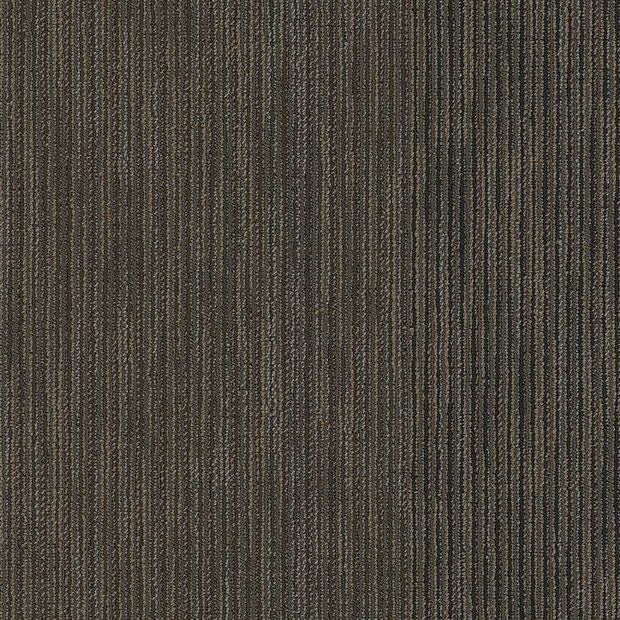Philadelphia Commercial - In The Press - Document Carpet Tile - Coverage 00710