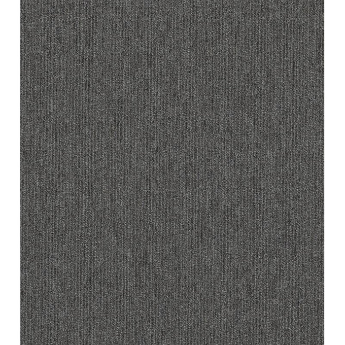 Philadelphia Commercial - Profusion - Carpet Tile - Tons