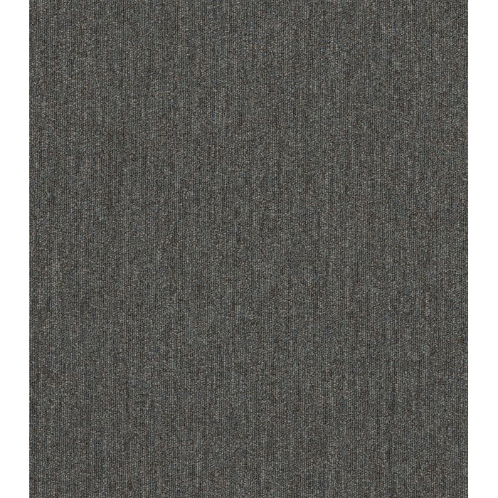 Philadelphia Commercial - Profusion - Carpet Tile - Oodles