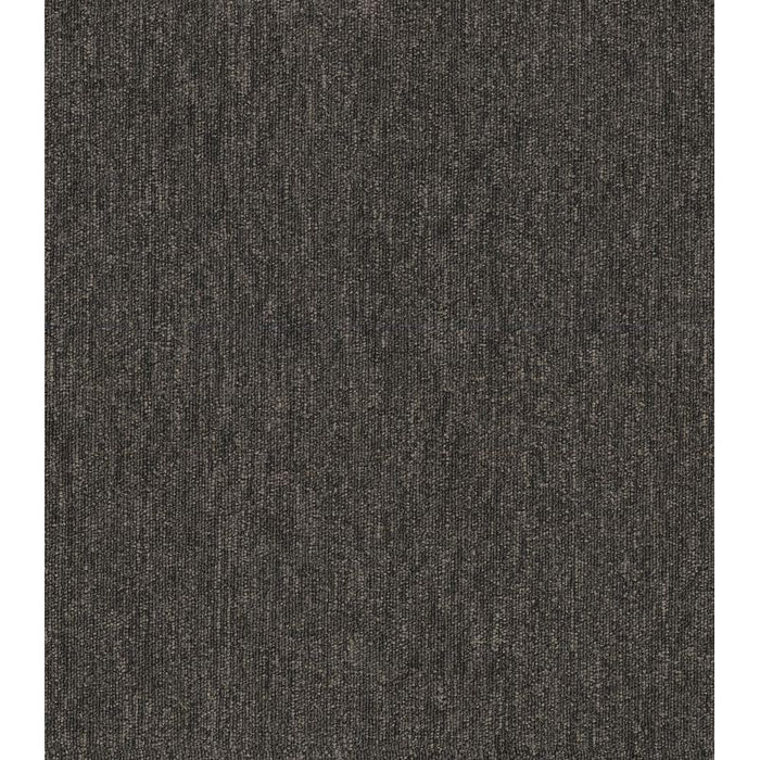 Philadelphia Commercial - Profusion - Carpet Tile - Cluster