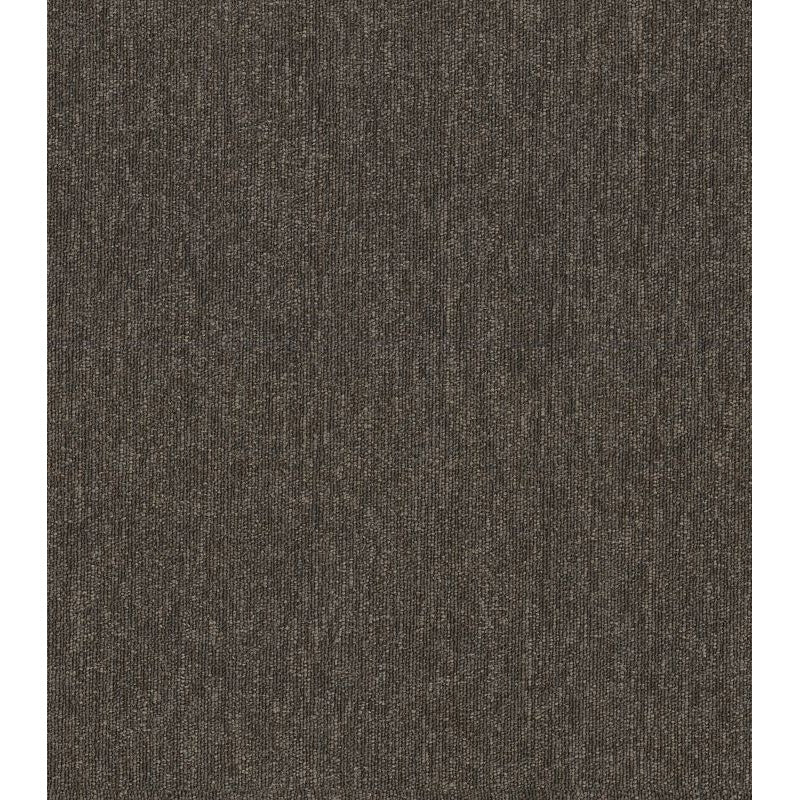 Philadelphia Commercial - Profusion - Carpet Tile - Scads