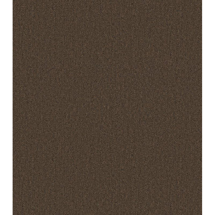 Philadelphia Commercial - Profusion - Carpet Tile - Overflow