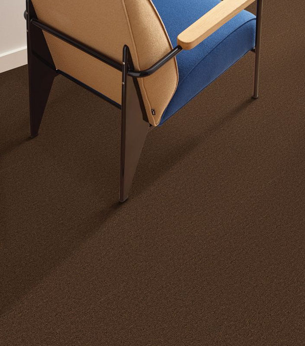 Philadelphia Commercial - Profusion - Carpet Tile - Overflow Installed