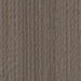 Philadelphia Commercial - Elevate - Conversion Carpet Tile - Recreate 00204