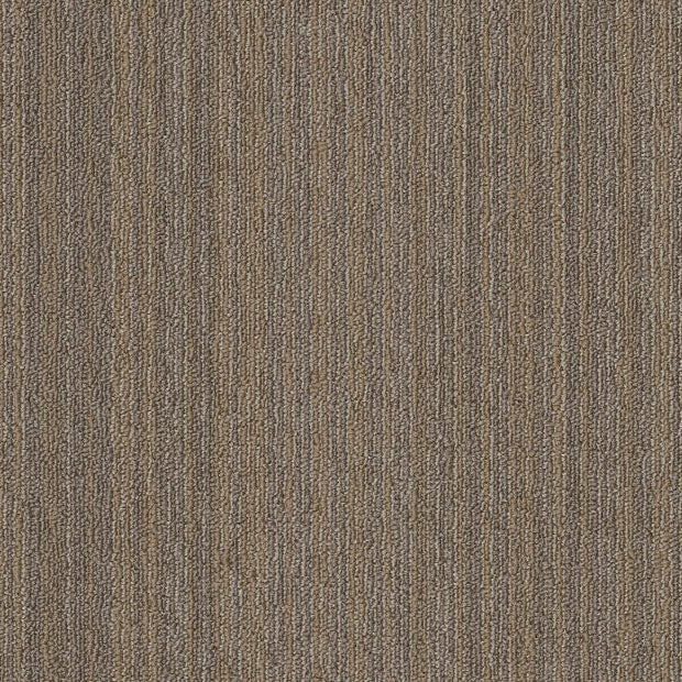 Philadelphia Commercial - Elevate - Conversion Carpet Tile - Rework 00208