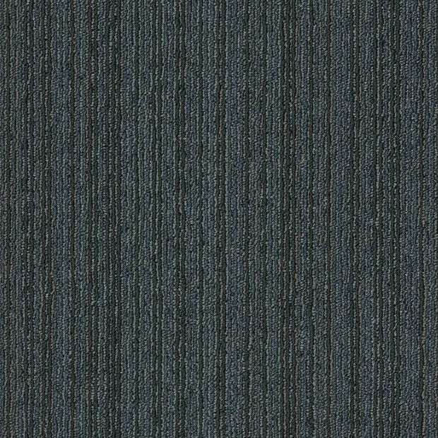 Philadelphia Commercial - Elevate - Conversion Carpet Tile - Conversion 00300
