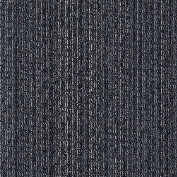 Philadelphia Commercial - Elevate - Conversion Carpet Tile - Reform 00400