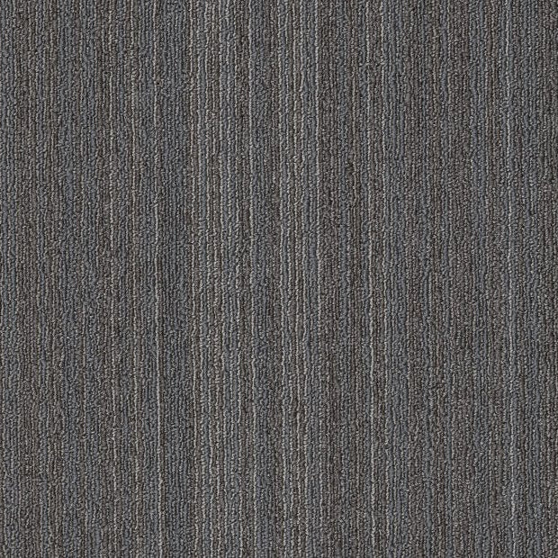 Philadelphia Commercial - Elevate - Conversion Carpet Tile - Revise 00500