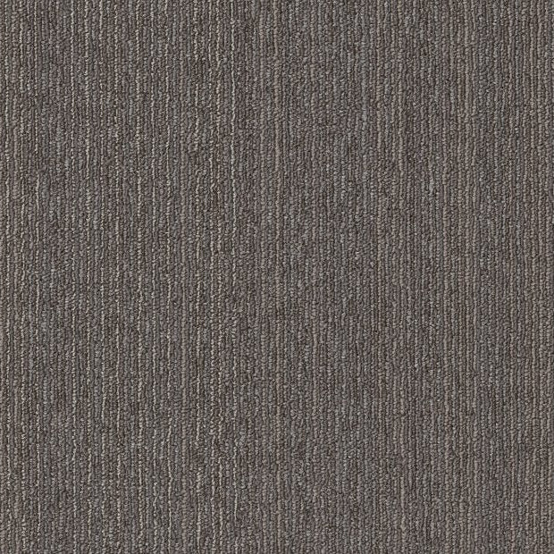 Philadelphia Commercial - Elevate - Conversion Carpet Tile - Recast 00700