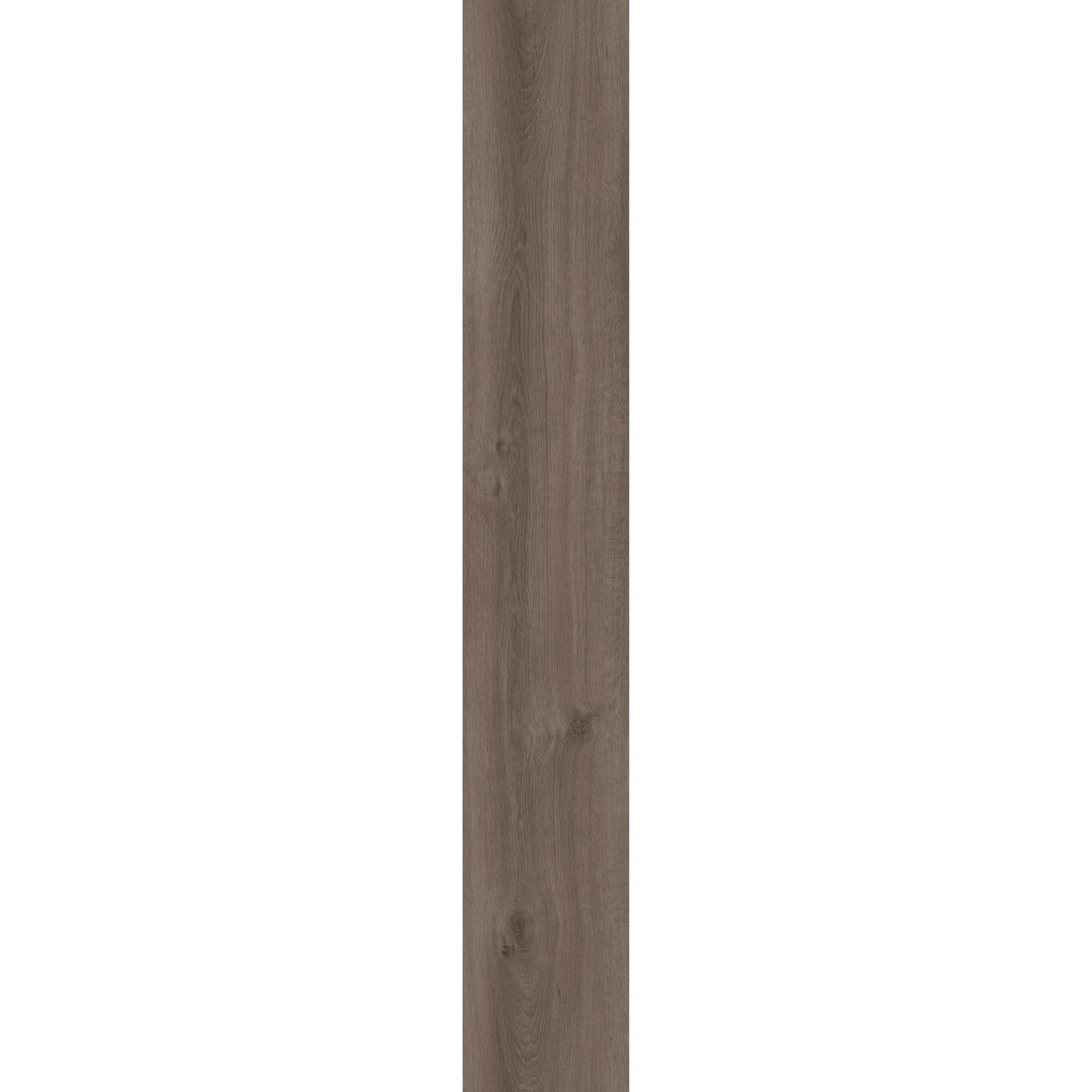 Mohawk - Large & Local - Reforestation - 9.25 in. x 59 in. Luxury Vinyl - Yosemite