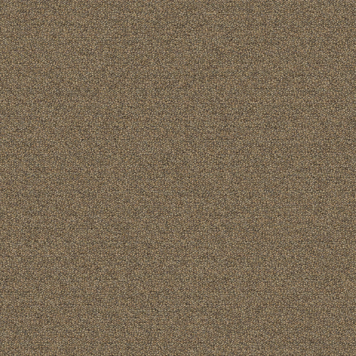 Mohawk - New Basics III BT400 - 24 in. x 24 in. - Commercial Carpet Tile - 837 Biscotti Crunch