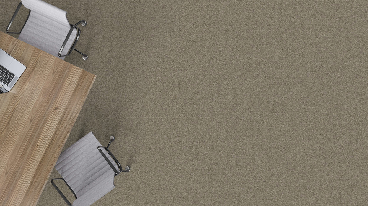 Mohawk - New Basics III BT400 - 24 in. x 24 in. - Commercial Carpet Tile - 948 Quartz Installed