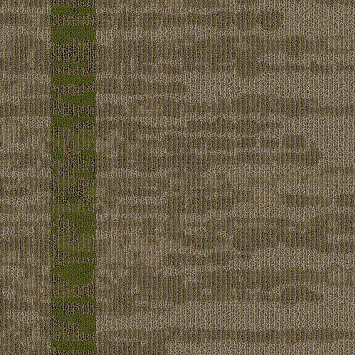 Mohawk Group - Renegade - Insurgent BT367 - Commercial Carpet Tile - 152 Living Fast