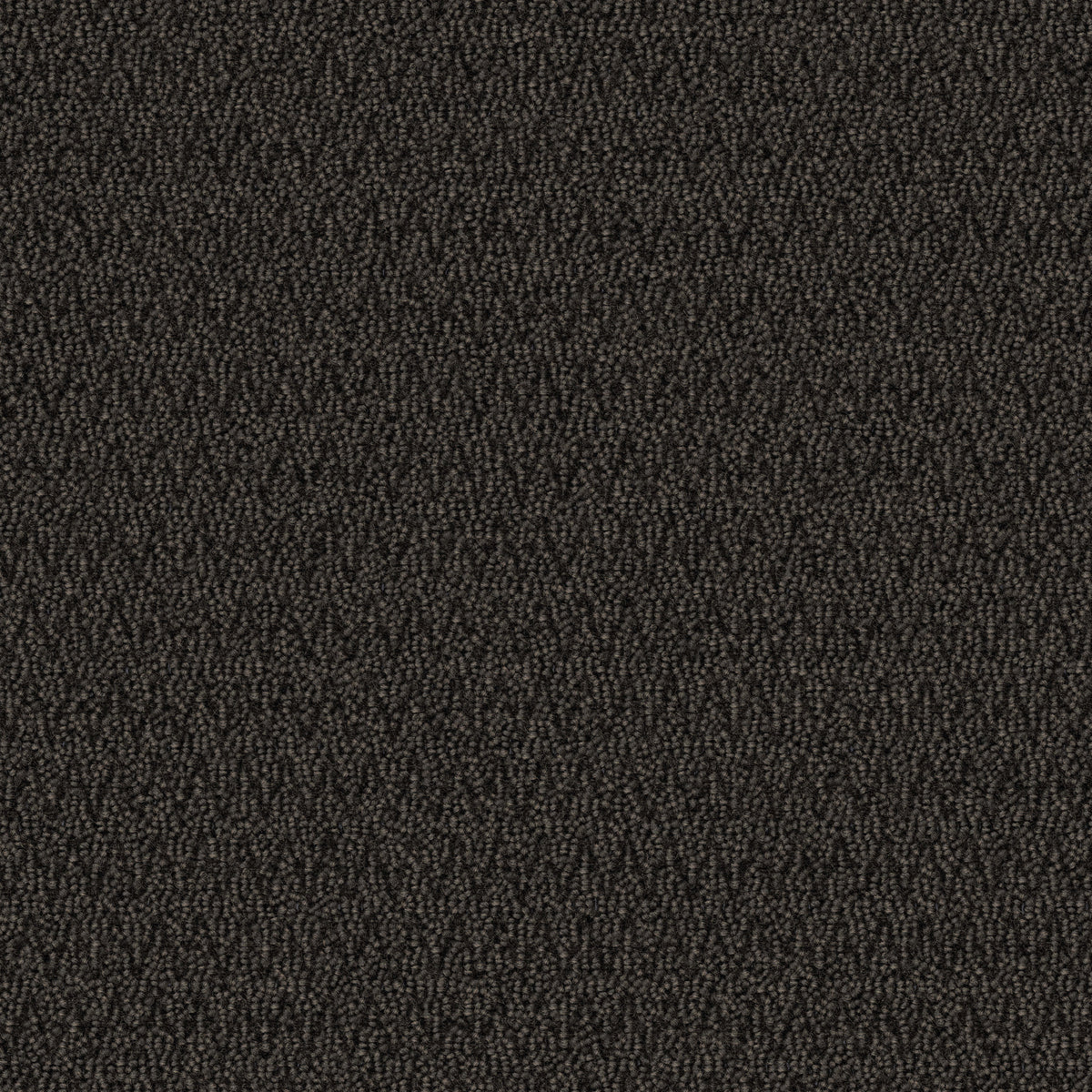Mohawk Group - Tuff Stuff II - First Step II - Commercial Carpet